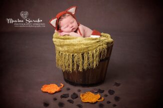little fox, baby in bucket, newborn photoshoot